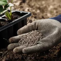 Engrais organo-minérale Pro Bio Terre 5KG - Vente uniquement sur place - Accessoires, engrais et terreaux