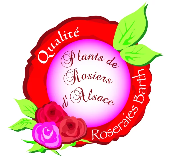 Rosier offert BARTH