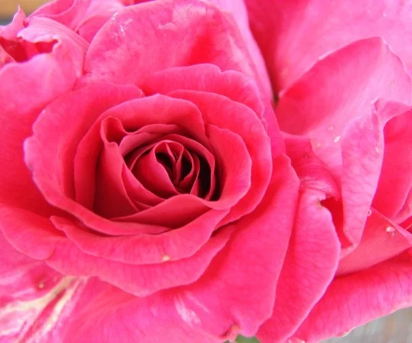 Rosier Criterion