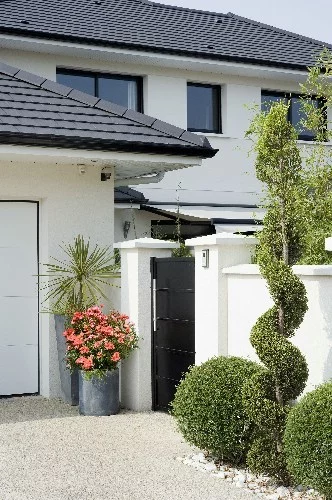 Rosier Isalia ® Noat1804 - Décorosiers