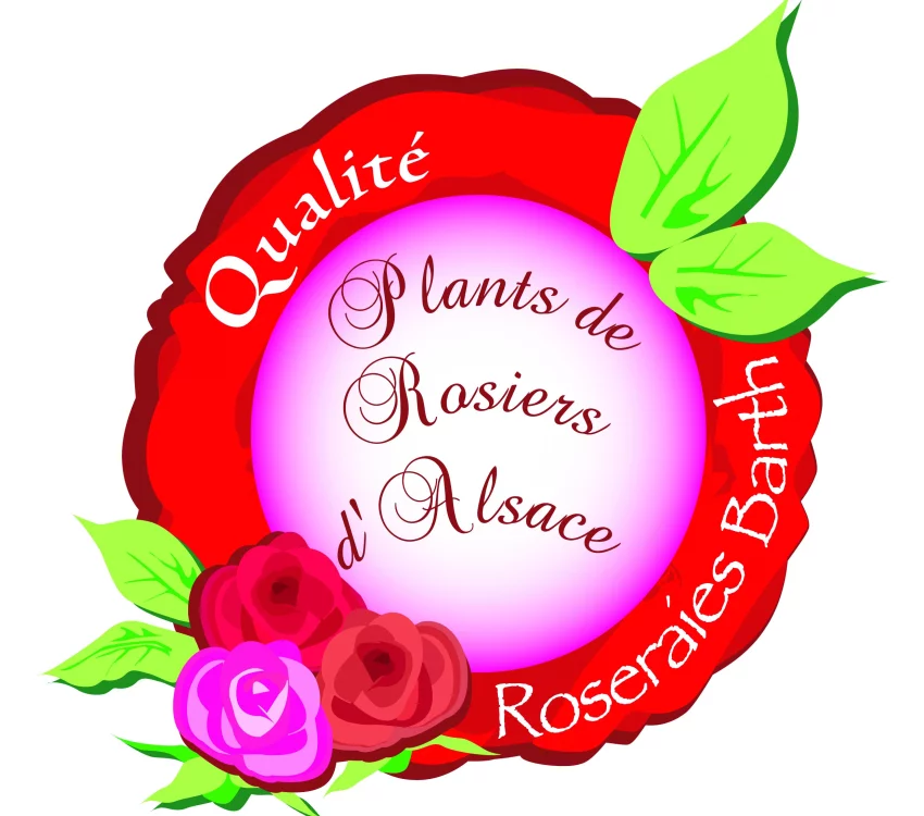 Rosier offert BARTH